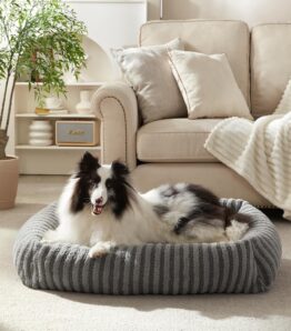 Pawk Medium Dog Bed - Orthopaedic Dog Basket with Removable Cover, Non-Slip Washable Dog Bed with High Edge, 64 x 54 x 18 cm