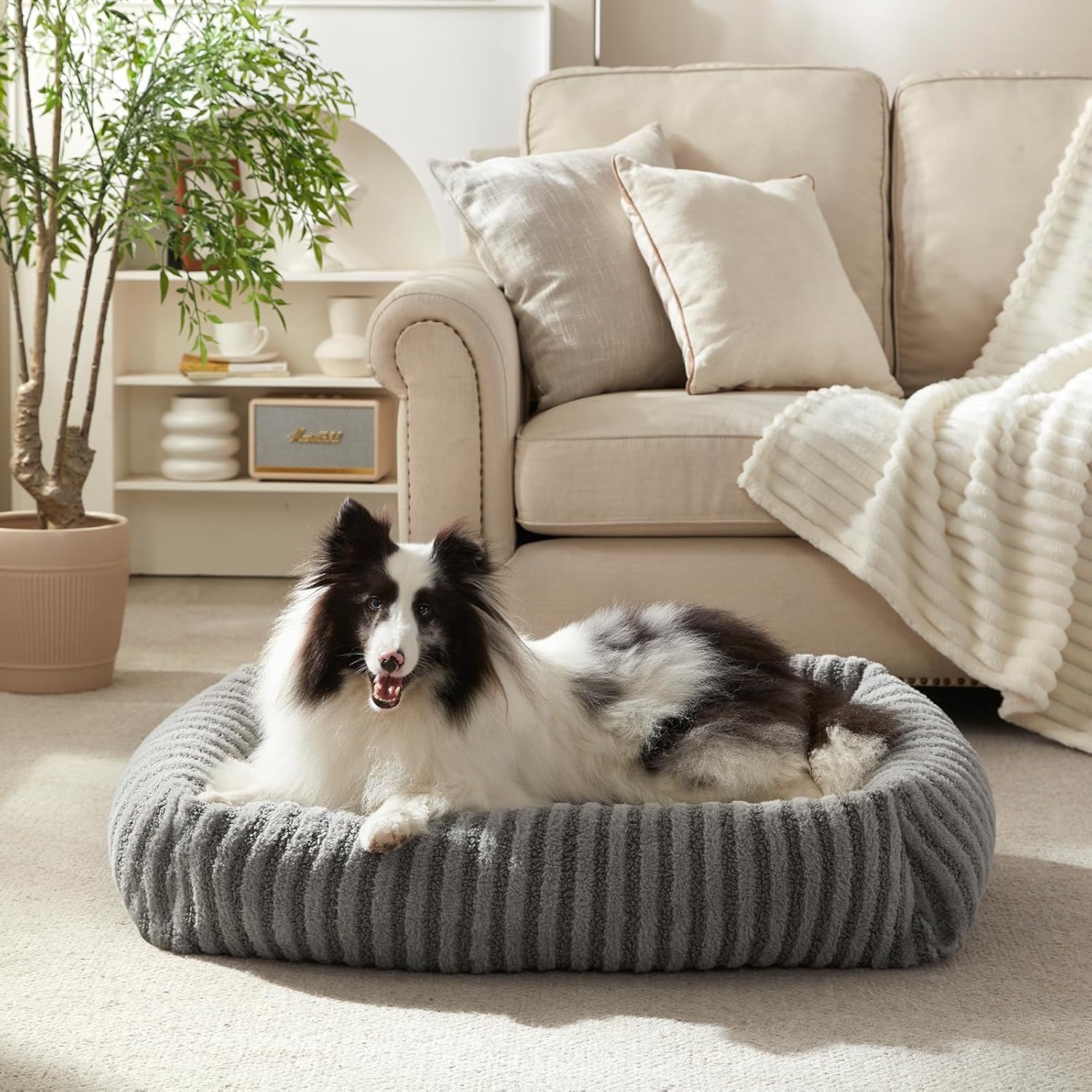 Pawk Medium Dog Bed - Orthopaedic Dog Basket with Removable Cover, Non-Slip Washable Dog Bed with High Edge, 64 x 54 x 18 cm