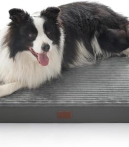 BEDSURE Washable Dog Bed for Large Dogs - 104 x 69 x 8.5 cm Comfort Dog Cushion with Non-Slip Base and Removable Washable Cover, Egg Carton Foam Dog Mat, Grey - Not Waterproof
